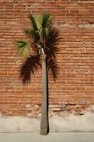 ai generado un palma árbol se sienta por un ladrillo pared, hoja patrones foto