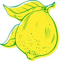 vector ilustración de limón Fruta con hojas riso impresión efecto aislado en blanco antecedentes