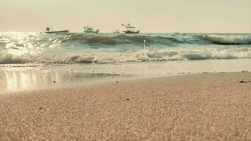 el arenoso playa por el mar es un visión a Mirad. con suave dorado arena hace usted sensación refrescado y rejuvenecido arenoso playas, conchas y rocas hacer playa hermosa en naturaleza. bueno sitio a relajarse video
