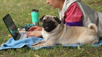 vicino su ragazza posa e digitando su il computer portatile su un' prato con sua carlino in giro video