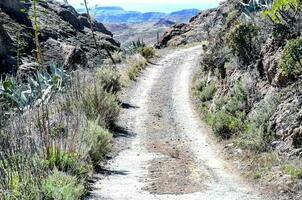 a dirt road in the mountains with cactus plants photo