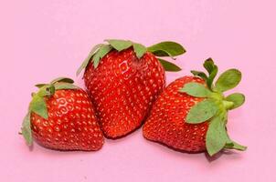 three strawberries on a pink background photo