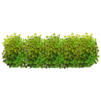 Green bush and tree for landscape and architecture drawing, elements for environment and garden,botanical elements for section in spring. png