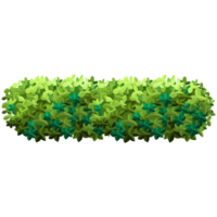 Green bush and tree for landscape and architecture drawing, elements for environment and garden,botanical elements for section in spring. png