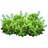 Green bush and tree for landscape and architecture drawing, elements for environment and garden,botanical elements for section in spring. png