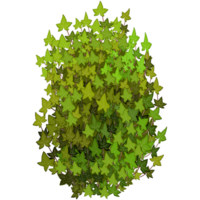 Green bush and tree for landscape and architecture drawing, elements for environment and garden,botanical elements for section in spring. png