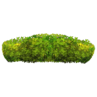 verde arbusto e árvore para panorama e arquitetura desenho, elementos para meio Ambiente e jardim, botânico elementos para seção dentro Primavera. png