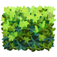 Green bush and tree for landscape and architecture drawing, elements for environment and garden,botanical elements for section in spring. png