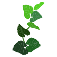 Green bush and tree for landscape and architecture drawing, elements for environment and garden,botanical elements for section in spring. png