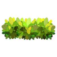Green bush and tree for landscape and architecture drawing, elements for environment and garden,botanical elements for section in spring. png