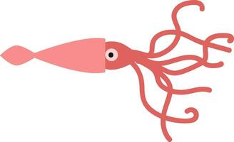 Squid hand drawn design, illustration, vector on white background.