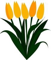 Yellow tulip flowers in spring print vector on white background