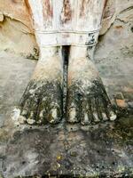 the feet of a statue of buddha photo