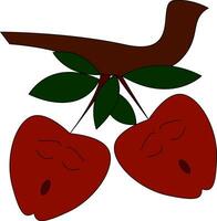 dos rojo manzanas en un árbol rama vector ilustración en blanco antecedentes