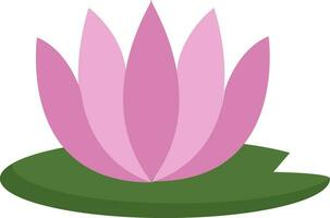 Simple pink lotus vector illustration on white background