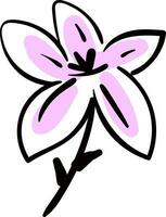 Simple sketch of a black and pink lily flower  vector illustration on white background