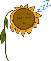 Cartoon of a sleeping sunflower vector illustration on white background