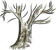 Sketch of an old big tree with branches vector color drawing or illustration