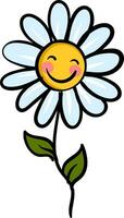 Smiling chamomile flower with green leaves  vector illustration on white background