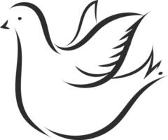 Simple sketch of a white dove  vector illustration on white background