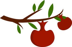 Two red apples on a brown tree branch with green leaves  vector illustration on white background