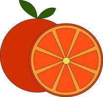 Simple vector illustration of an orange cut in half  white background