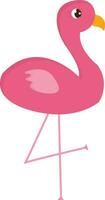 Pink flamingo standing on one leg   vector illustration on white background