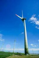 wind turbines in a field photo