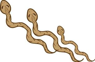 Three brown serpents crawling over white background vector or color illustration