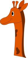 A cartoon giraffe vector or color illustration