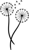 Pair of a dandelion silhouette vector or color illustration