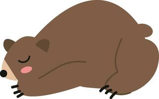 A brown bear sleeping vector or color illustration