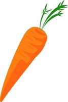 Carrot hand drawn design, illustration, vector on white background.