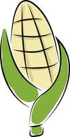 Corn hand drawn design, illustration, vector on white background.