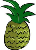 A pineapple fruit with its strong green shoots vector color drawing or illustration