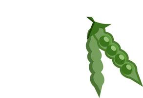 A green pea pod with several peas in the branches of a tree vector color drawing or illustration