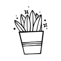 Cute and Aesthetic Plant In Pot Doodle Illustration vector