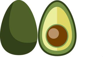 Extremely nutritious superfood avocado is cut in half vector color drawing or illustration