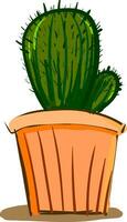 A beautiful cactus plant with small arm in a decorative pot vector color drawing or illustration