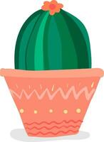 A dome shaped cactus plant with flower for the house decoration provides extra style to the space occupied vector color drawing or illustration