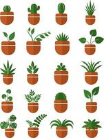 House plants, illustration, vector on white background.