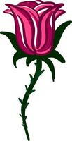 A red rose branch vector or color illustration