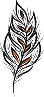 A black feather vector or color illustration