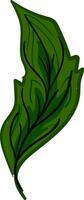 verde pluma con veleta vector o color ilustración