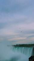 Birds Flying Over Niagara Falls video