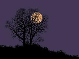 Tree silhouette against the full moon vector