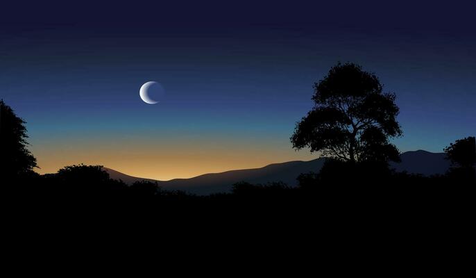Night scene landscape with tree silhouette