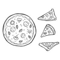 Outline pizza slices, whole pizza. Vector simple Doodle style sketch