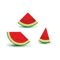 watermelon vector icon illustration design