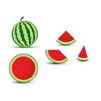 watermelon vector icon illustration design